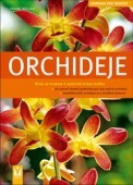 Orchideje, Röllke, Frank