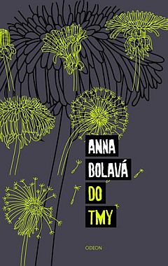 Do tmy                                  , Bolavá, Anna, 1981-                     